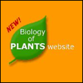 biology of plants icon