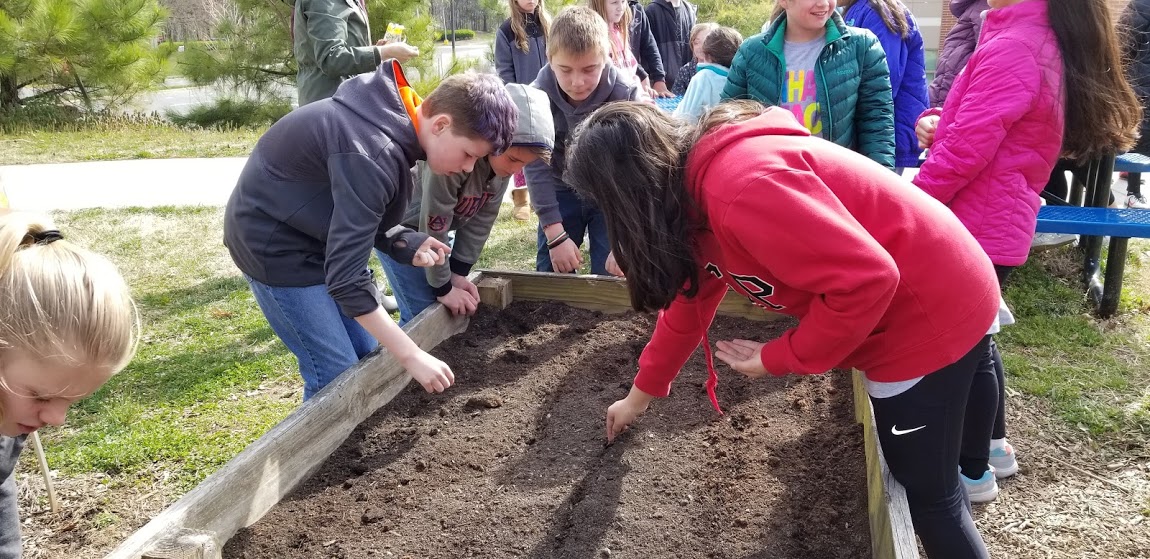picture of students working in the garden