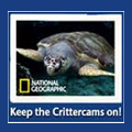 national geographic critter cam photo