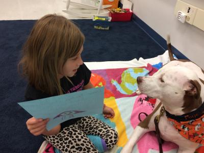 Visits from Therapy dog photo