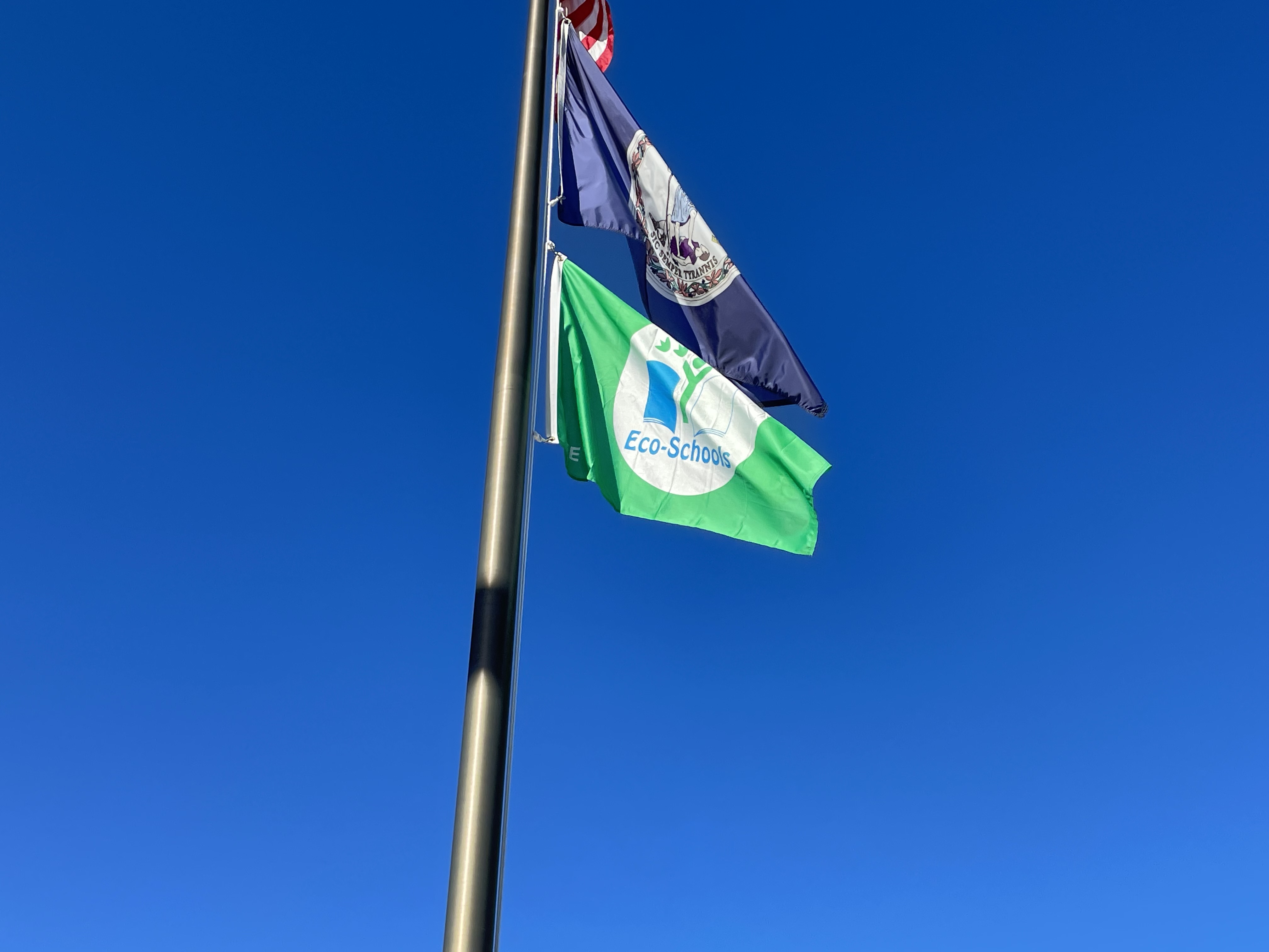 EcoSchools Flag awarded to Terra Centre