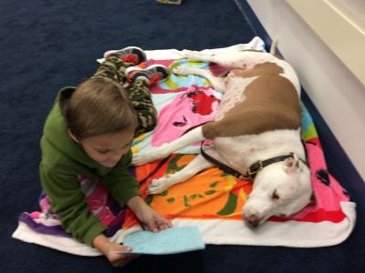 picture of student reading to dog